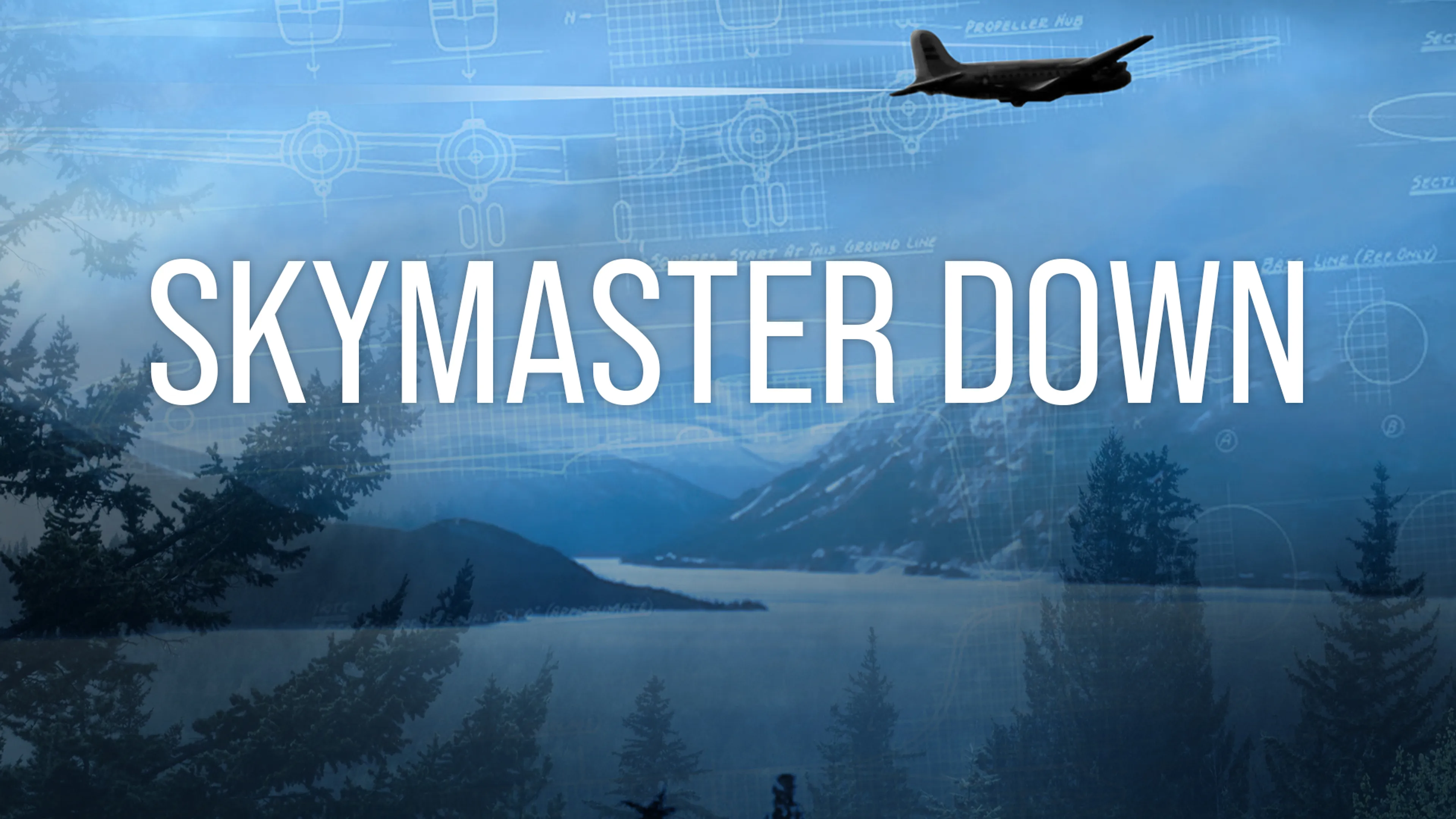 Skymaster Down poster